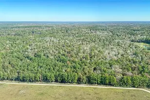 Tbd Mockingbird Hill, Conroe, TX 77303 - Photo 14