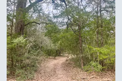 2330 Old Lockhart Road, West Point, TX 78963 - Photo 6
