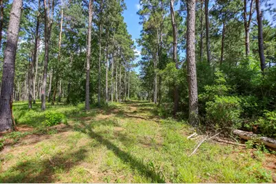 1950 Buckhorn Creek Dr, Crockett, TX 75904 - Photo 2