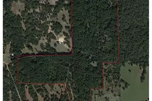 111 Co Rd 322, Centerville, TX 75833 - Photo 1