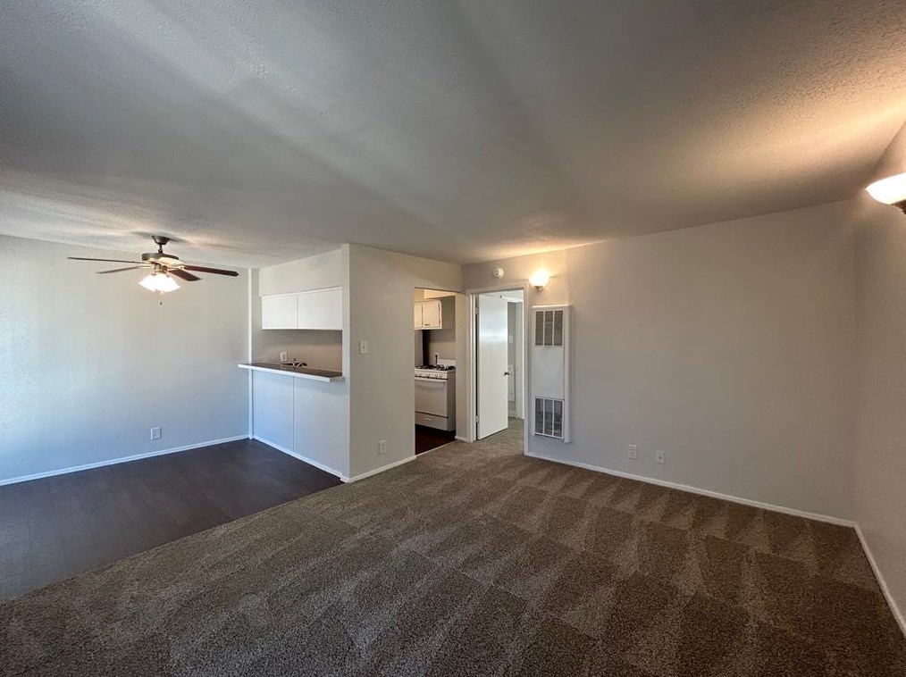 3629 N Macgregor Way #11, Houston, TX 77004