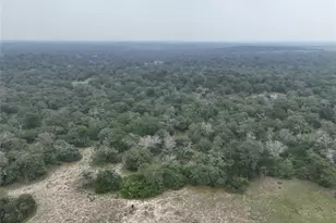 Tr 13 Private Rd, Seguin, TX 78155 - Photo 6