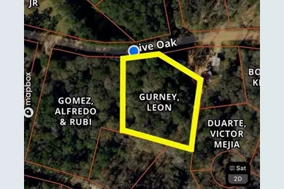 Tbd Live Oak Drive, Plantersville, TX 77363 - Photo 1