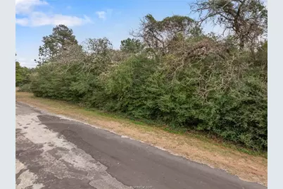 Lot 18 Jamaica, Hilltop Lakes, TX 77871 - Photo 4