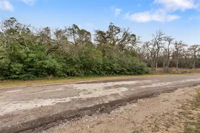 Lot 18 Jamaica, Hilltop Lakes, TX 77871 - Photo 6