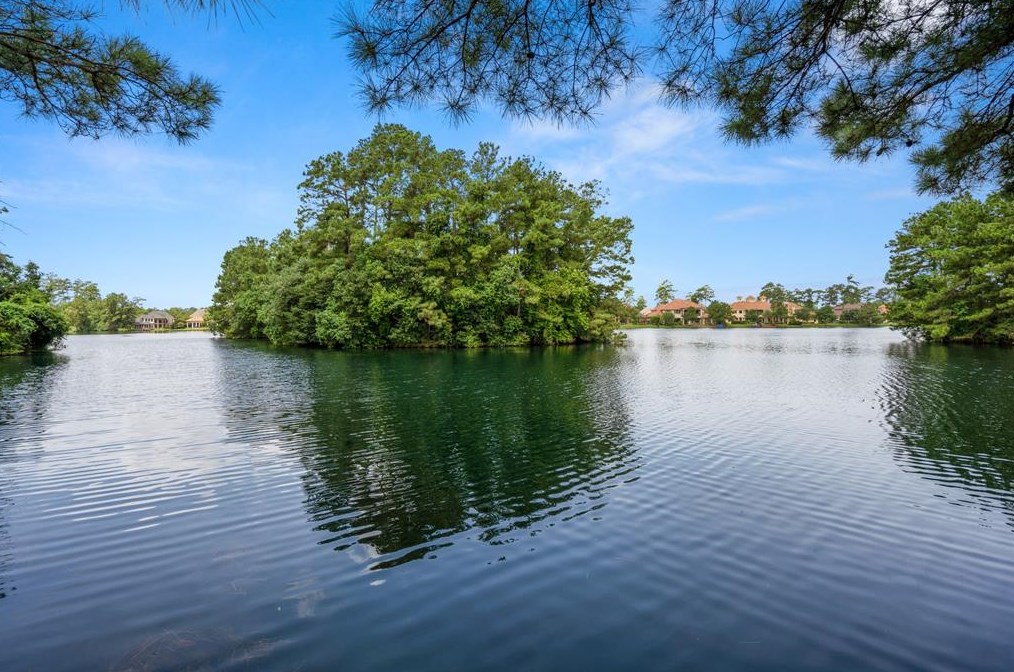 10215 Earlington Mnr Dr, Spring TX 77379-7463 exterior