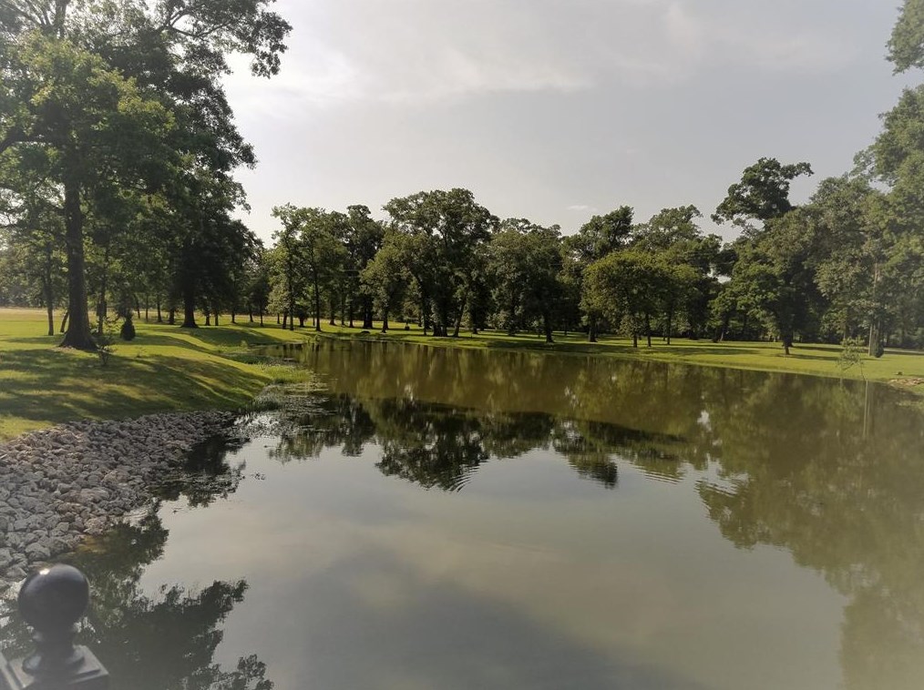 10215 Earlington Mnr Dr, Spring TX 77379-7463 exterior