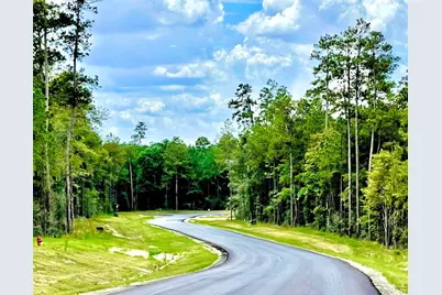 12050 High Branch Way, Willis, TX 77378 - Photo 6