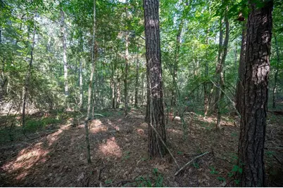 Tbd Cr  3000, Woodville, TX 75979 - Photo 4