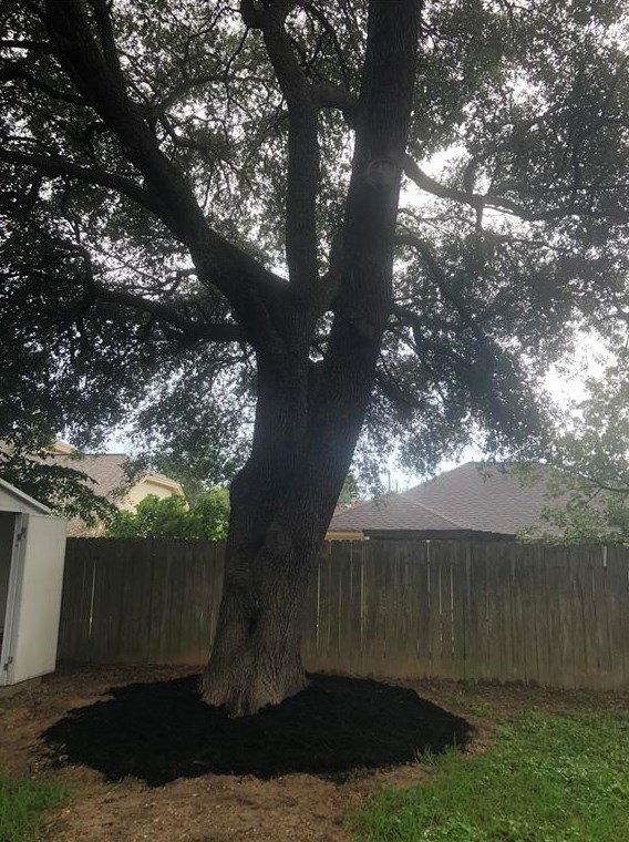 19311 Nasworthy Dr, Tomball TX  77375-7757 exterior