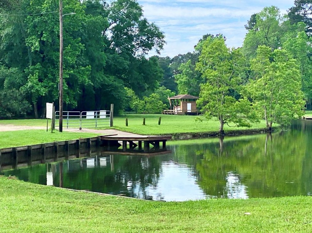 144 Strawberry St, Onalaska, TX 77360