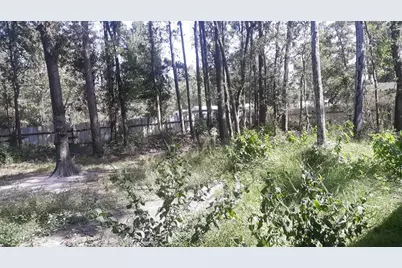 0000 Stevens St, New Caney, TX 77357 - Photo 4