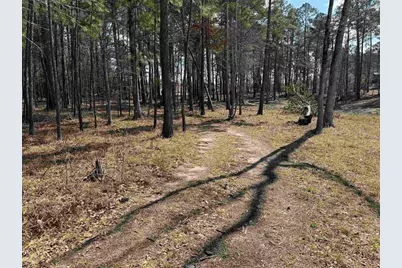 013 Private Road 6028, Brookeland, TX 75931 - Photo 1