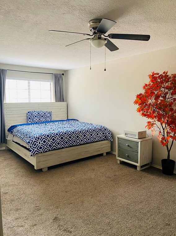 15506 Scenic Hvn Dr, Houston TX  77083-5451 exterior