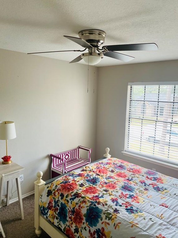 15506 Scenic Hvn Dr, Houston TX  77083-5451 exterior