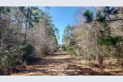 0 Chambers Road, Zavalla, TX 75980 - Photo 2