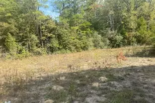 786 County Rd 4070, Bon Wier, TX 75928 - Photo 6