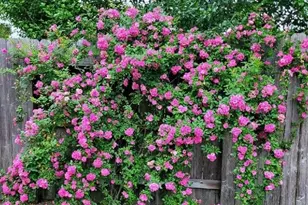 22758 Soaring Woods Ln, Porter, TX 77365 - Photo 42