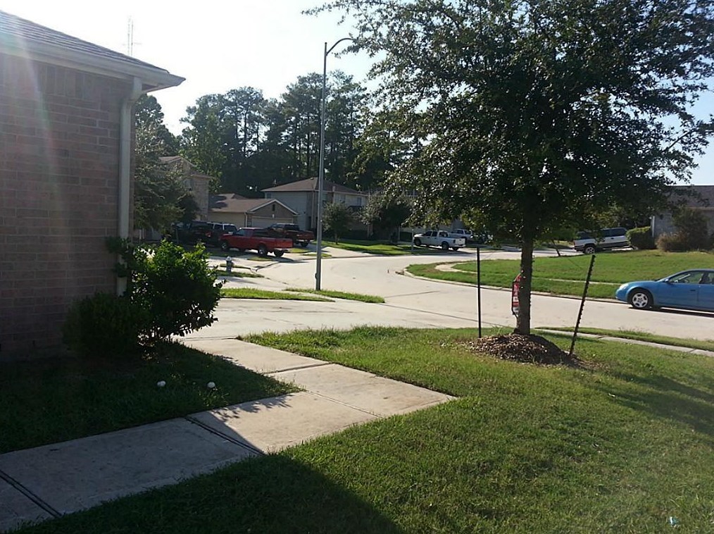 22851 Twisting Pine Dr, Spring, TX 77373-4207