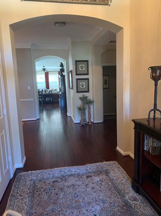 51 Tapestry Forest Pl, Spring, TX 77381-4846