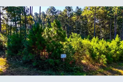 018 Red Hawk Road, Huntsville, TX 77340 - Photo 2