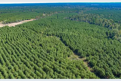 290 Red Hollow, Livingston, TX 77351 - Photo 28
