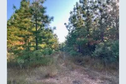 290 Red Hollow, Livingston, TX 77351 - Photo 18