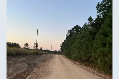 290 Red Hollow, Livingston, TX 77351 - Photo 4