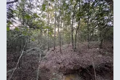 290 Red Hollow, Livingston, TX 77351 - Photo 6