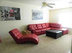 9842 Lynette Falls Dr, Houston TX  77095-2374 exterior
