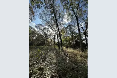 26870 Lazy Ln, Magnolia, TX 77355 - Photo 2