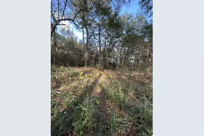 26870 Lazy Ln, Magnolia, TX 77355 - Photo 6