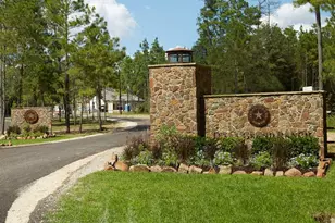 15229 Frst Grv Dr, Willis, TX 77378 - Photo 6