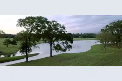 15229 Forest Grove Drive, Willis, TX 77378 - Photo 2