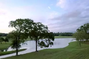 15229 Frst Grv Dr, Willis, TX 77378 - Photo 2