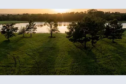 15229 Forest Grove Drive, Willis, TX 77378 - Photo 4