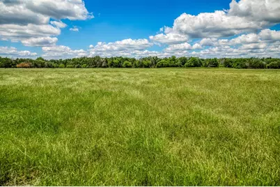 1850 Lcr 439, Groesbeck, TX 76667 - Photo 40