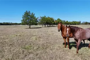 1850 Lcr 439, Groesbeck, TX 76667 - Photo 32