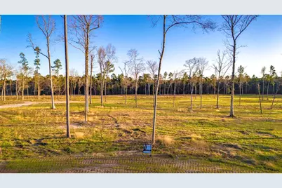 Tbd 04 Johnson Drive, Livingston, TX 77351 - Photo 2