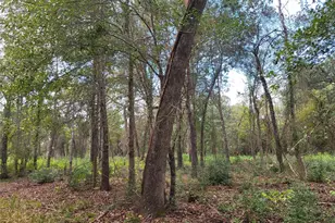 27055 Sandy Creek, Magnolia, TX 77355 - Photo 1