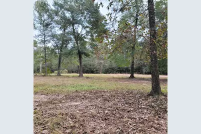 27055 Sandy Creek, Magnolia, TX 77355 - Photo 8