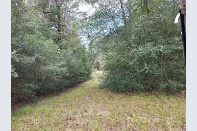 27055 Sandy Creek, Magnolia, TX 77355 - Photo 6