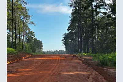 Lot 293 Timberline Dr, Hillister, TX 77624 - Photo 8