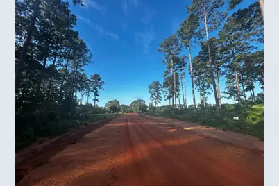 Lot 293 Timberline Dr, Hillister, TX 77624 - Photo 14