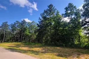 1030 County Road 6325, Dayton, TX 77535 - Photo 1