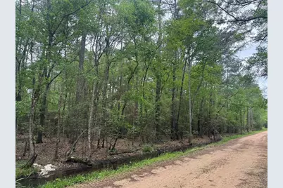 15800 Largent Drive, Plantersville, TX 77363 - Photo 4