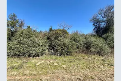 Tbd Sycamore Branch Road, Normangee, TX 77871 - Photo 8