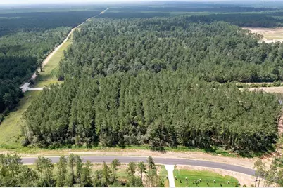 15285 Forest Grove Drive, Willis, TX 77378 - Photo 6