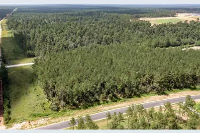 15285 Forest Grove Drive, Willis, TX 77378 - Photo 4