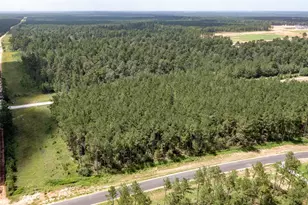 15285 Frst Grv Dr, Willis, TX 77378 - Photo 4